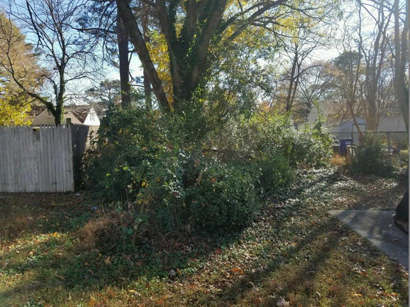 Bruce St Before